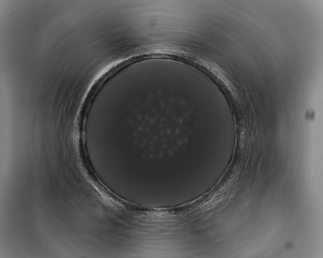 X0000099381024200806051116