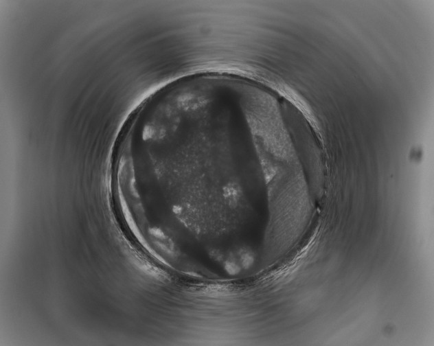 X0000099381028200806051116