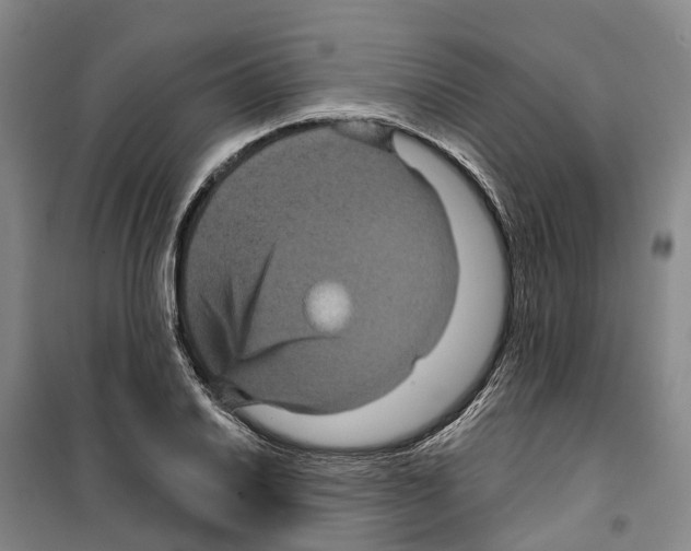 X0000099381030200806051116