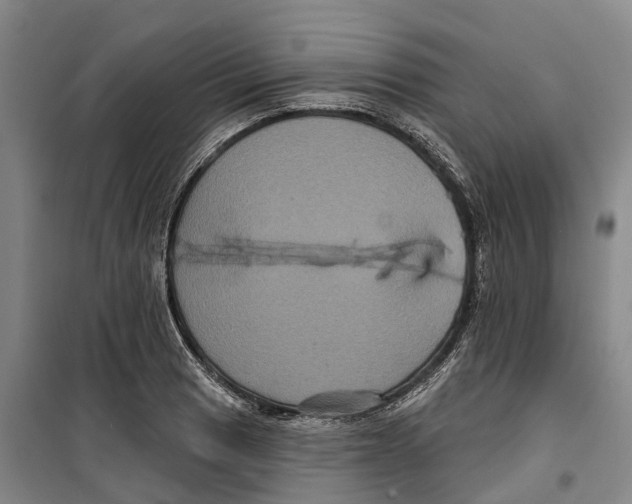 X0000099381033200806051116
