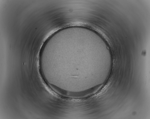 X0000099381034200806051116
