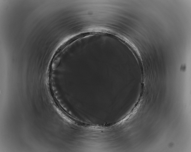 X0000099381037200806051116