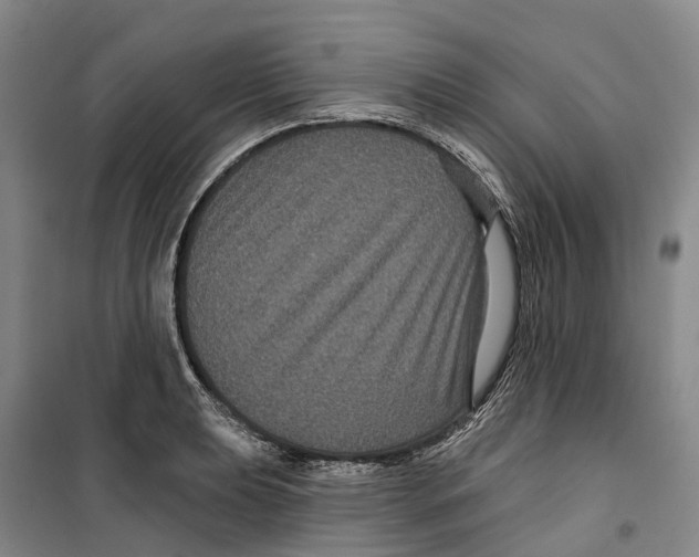 X0000099381039200806051116