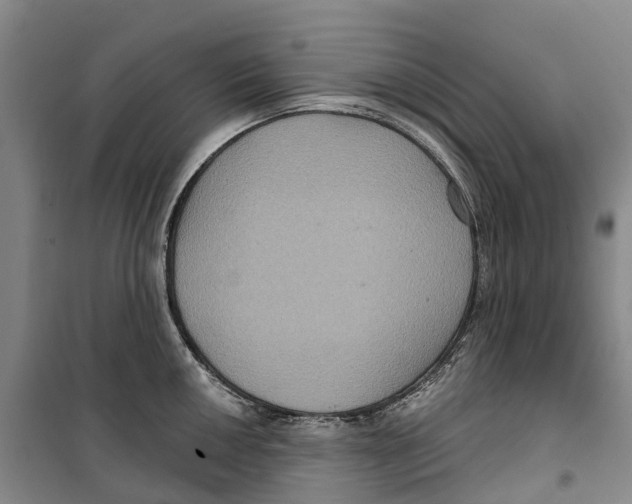 X0000099381050200806051116
