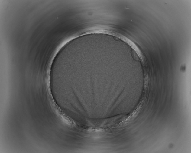 X0000099381051200806051116