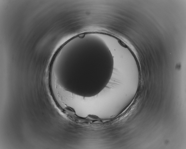 X0000099381053200806051116