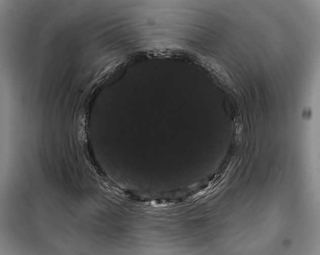 X0000099381060200806051115