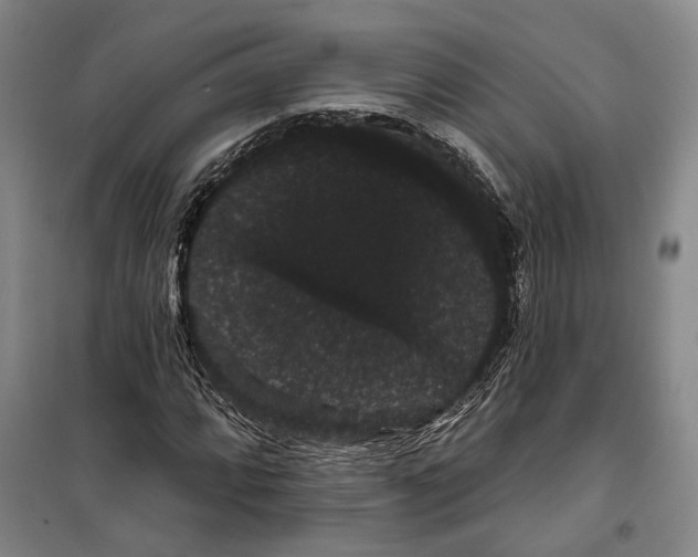 X0000099381064200806051115