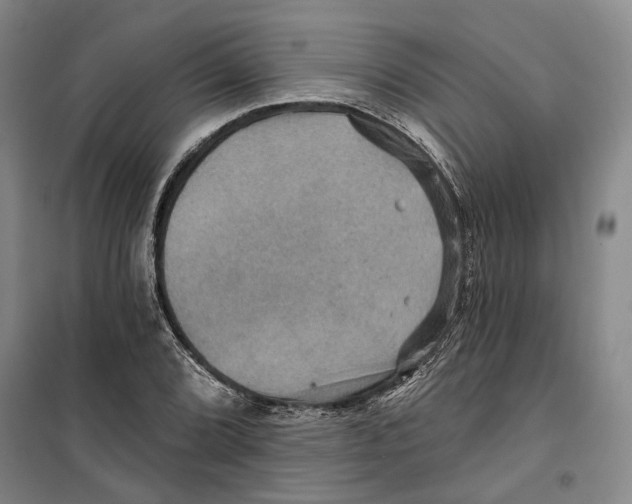 X0000099381072200806051115
