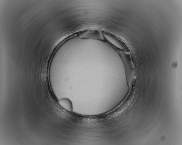 X0000099381073200806051115