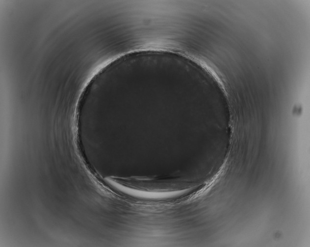 X0000099381077200806051115