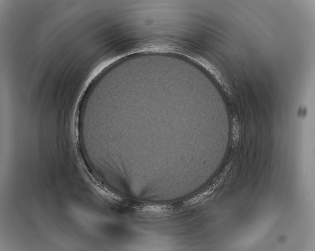 X0000099381078200806051115