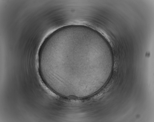 X0000099381080200806051115