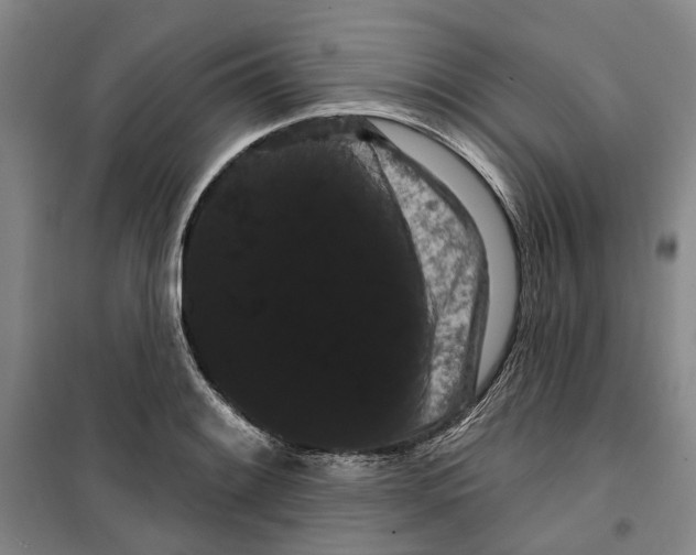 X0000099381084200806051115