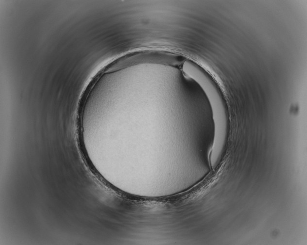X0000099381085200806051115