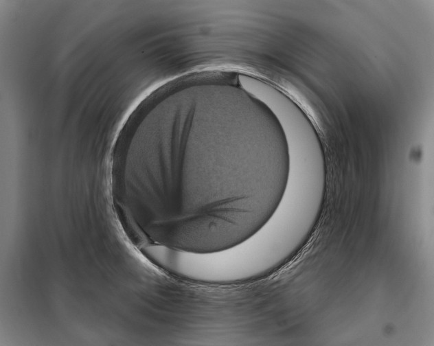 X0000099381092200806051115