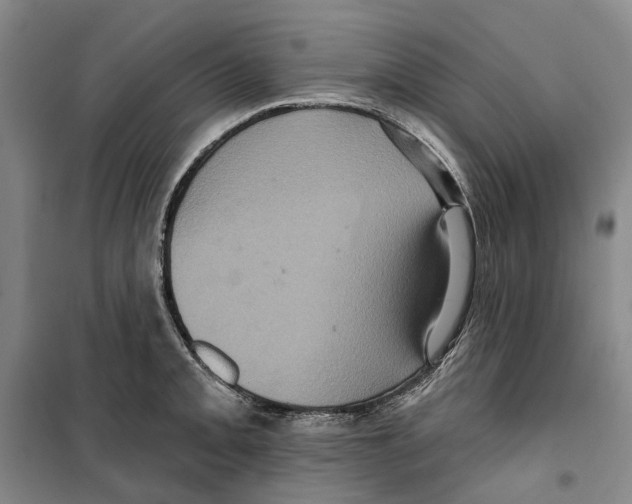 X0000099381093200806051115