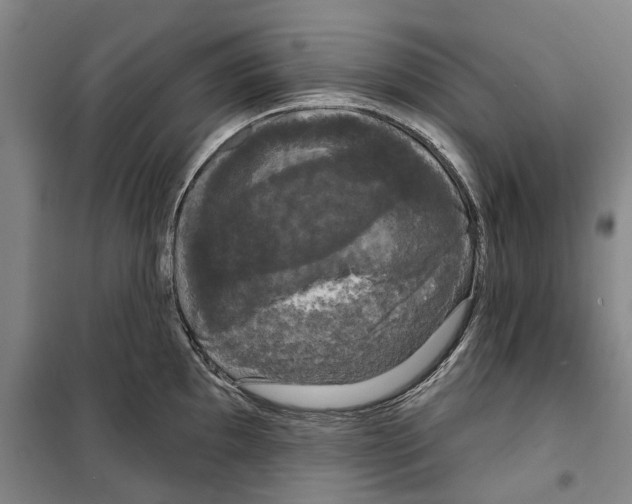 X0000099381097200806051115