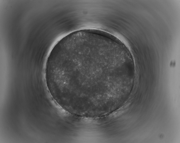 X0000099381104200806051115