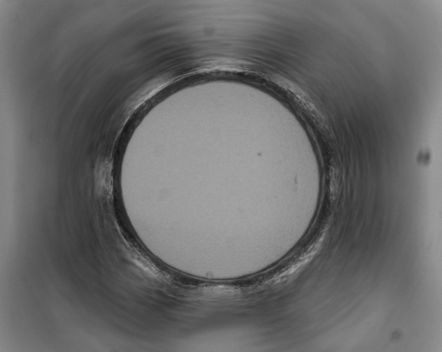 X0000099381113200806051114