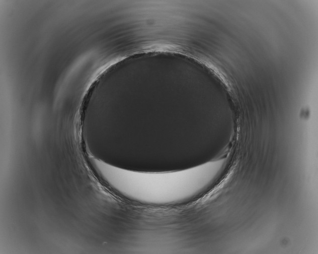 X0000099381117200806051114