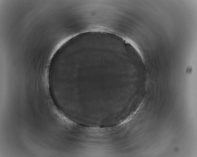 X0000099381120200806051114