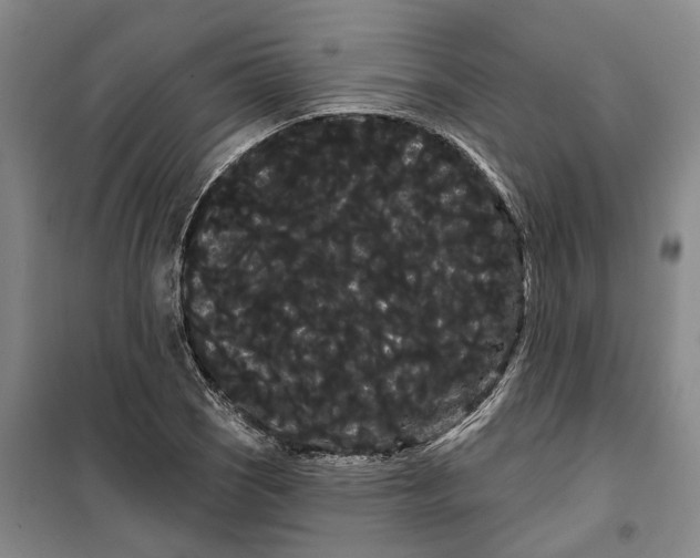 X0000099381121200806051114