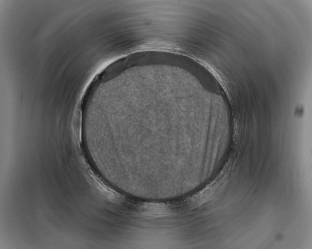 X0000099381123200806051114