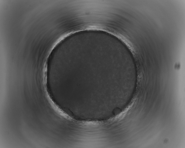 X0000099381126200806051114