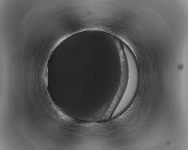 X0000099381127200806051114