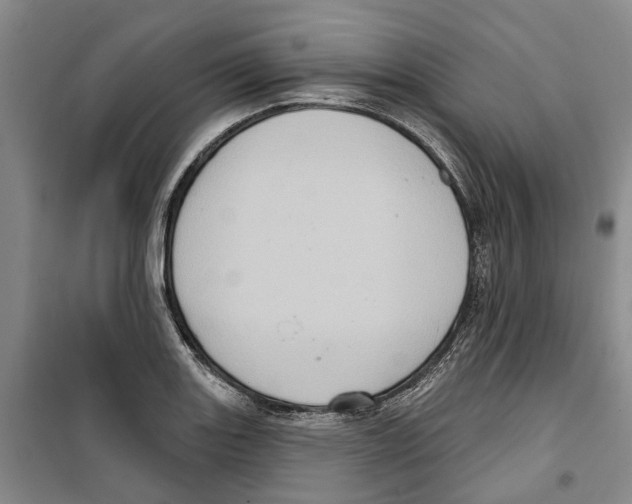 X0000099381131200806051115