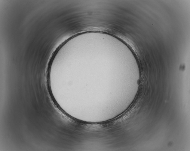 X0000099381135200806051115