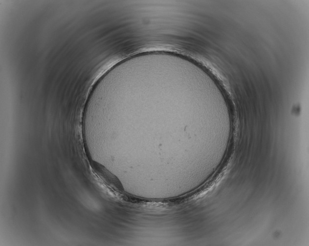 X0000099381137200806051115