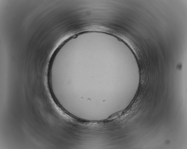 X0000099381139200806051115