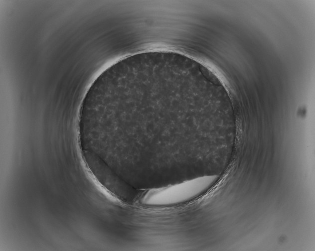 X0000099381142200806051115