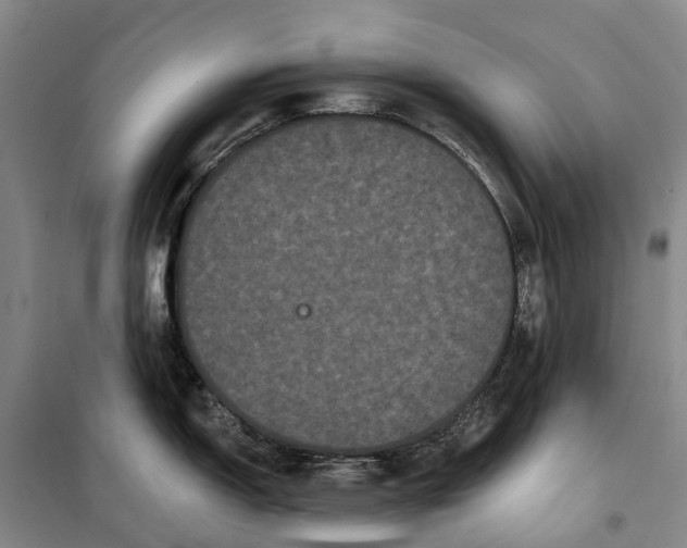 X0000099381150200806051115