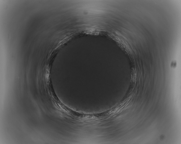 X0000099381154200806051114