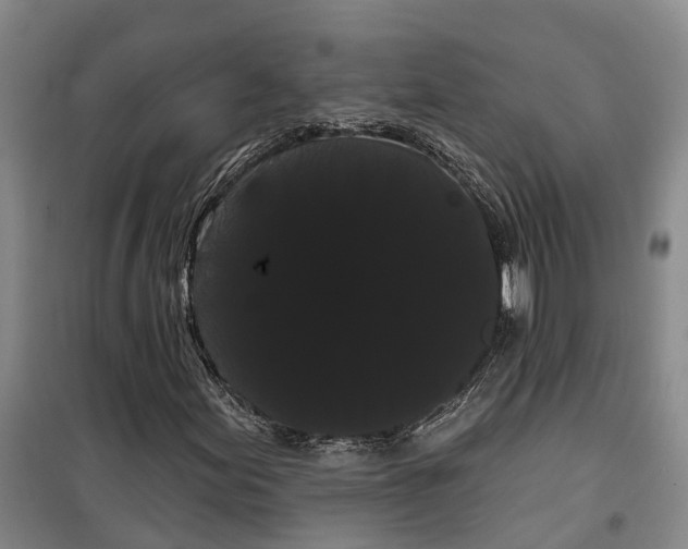 X0000099381155200806051114