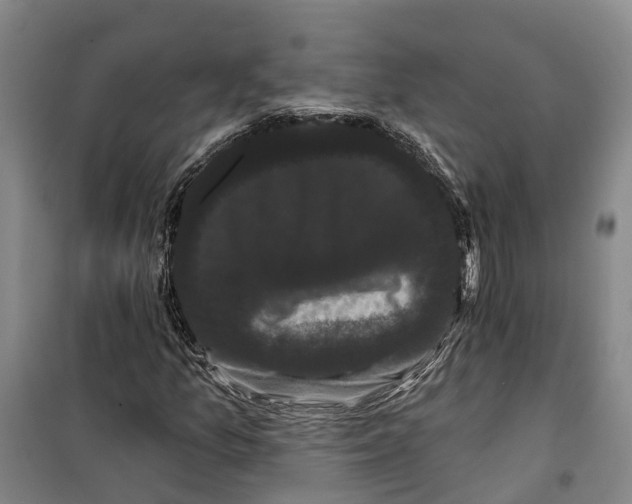 X0000099381157200806051114