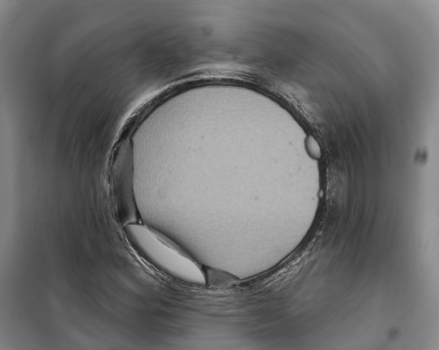 X0000099381164200806051114