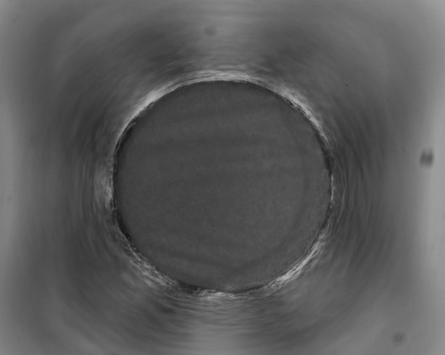 X0000099381165200806051114