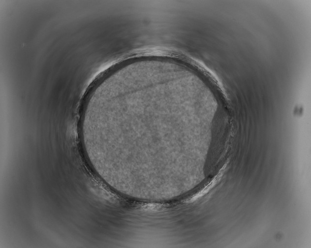 X0000099381166200806051114