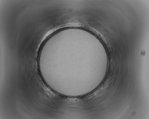 X0000099381168200806051114