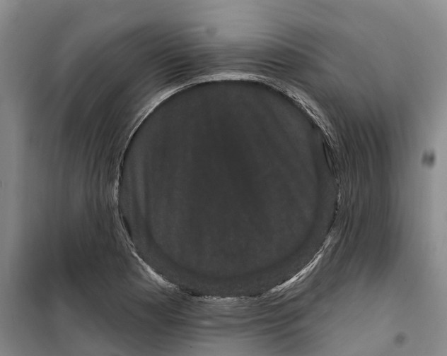 X0000099381177200806051114