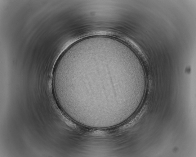 X0000099381178200806051114