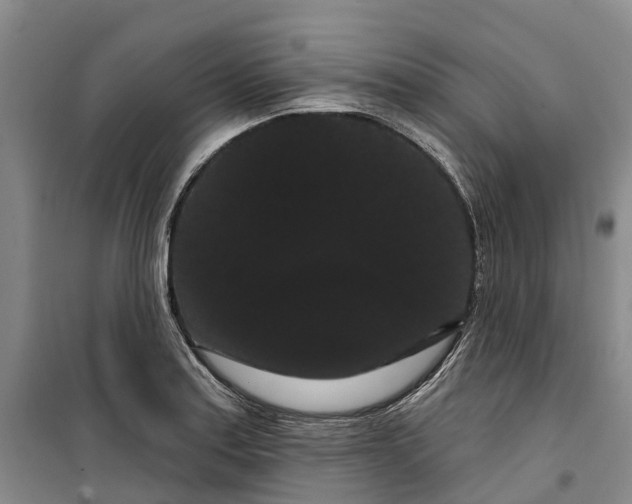 X0000099381179200806051114