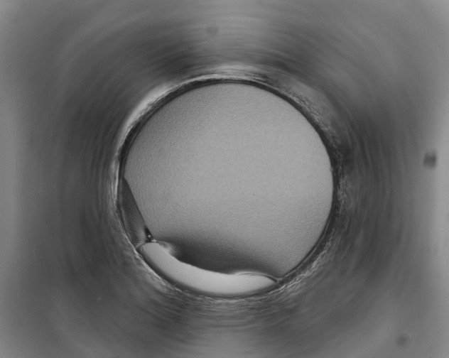 X0000099381180200806051114