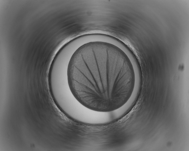 X0000099381181200806051114