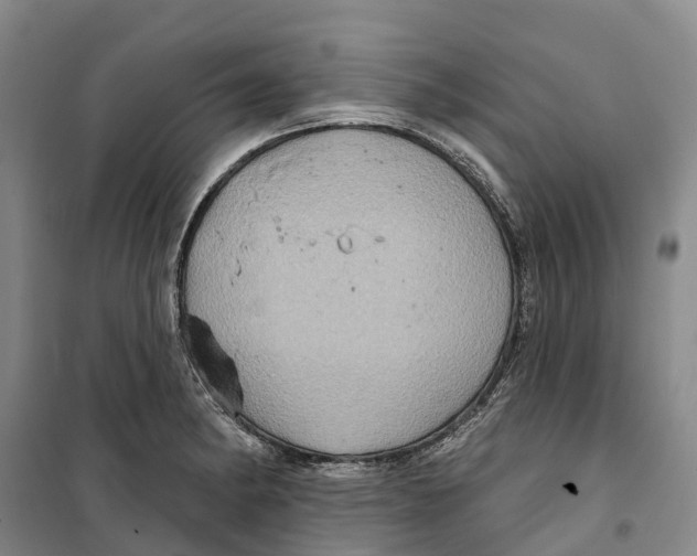 X0000099381182200806051114