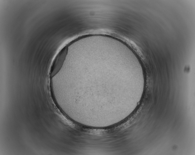 X0000099381184200806051114